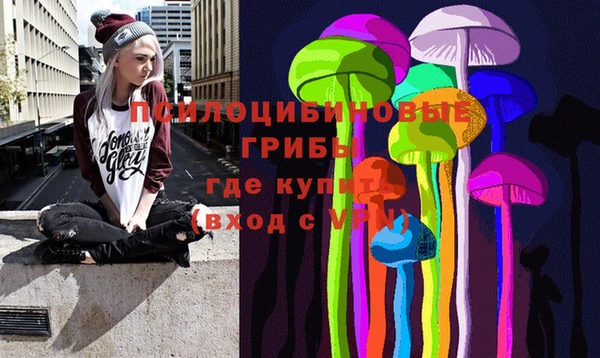 PSILOCYBIN Артём