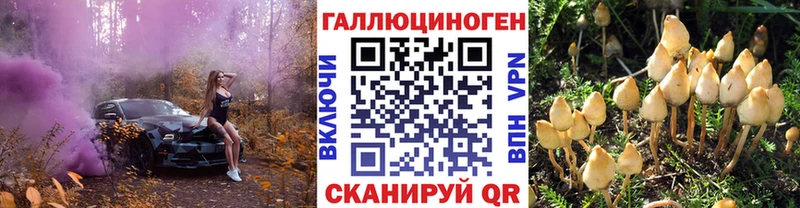 Галлюциногенные грибы мицелий  darknet наркотические препараты  Дятьково 