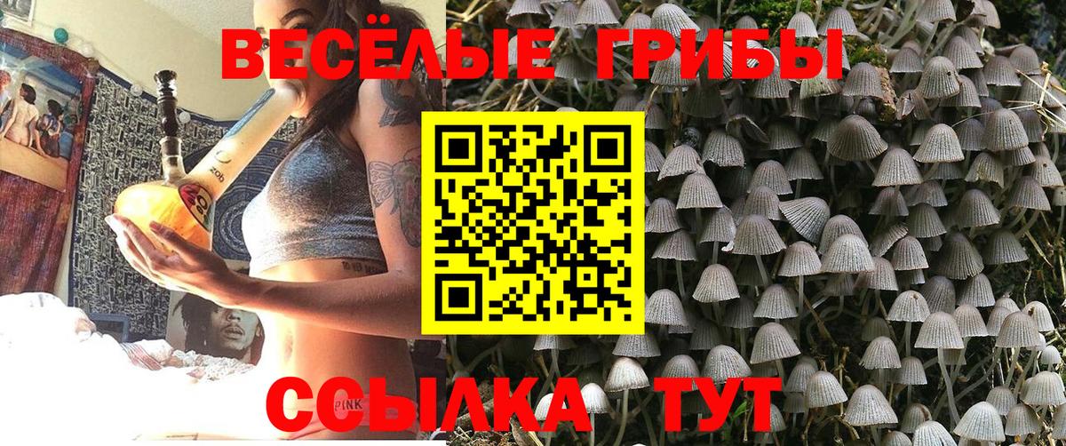 Галлюциногенные грибы Cubensis Дятьково