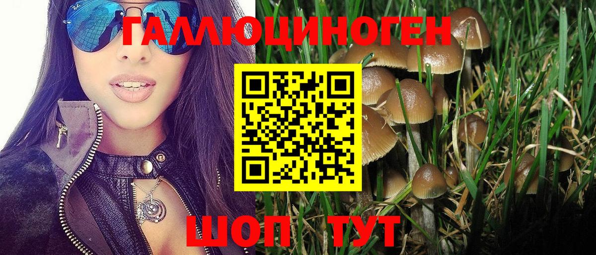Дятьково  Галлюциногенные грибы Psilocybine cubensis  купить наркотик  Вход с VPN 